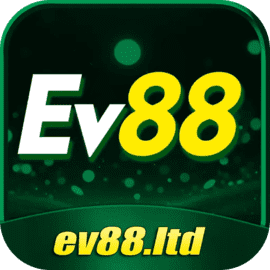 Hoàng Minh Quốc Dũng